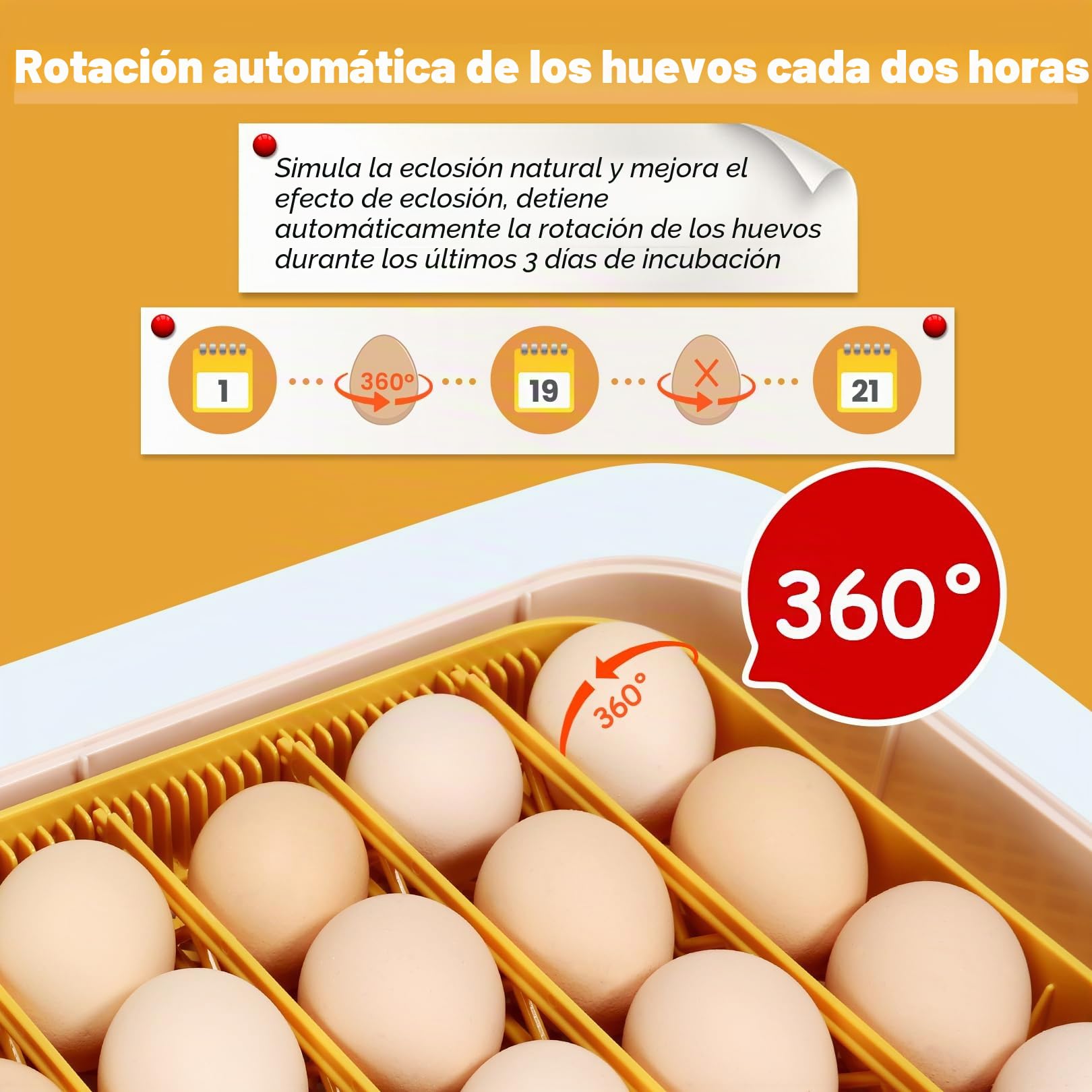 Sailnovo Incubadora de huevos de 56 huevos, totalmente automática, con giro automático, control de humedad y temperatura, incubadora para pollo, pato, codorniz, para laboratorio, escuela, granja
