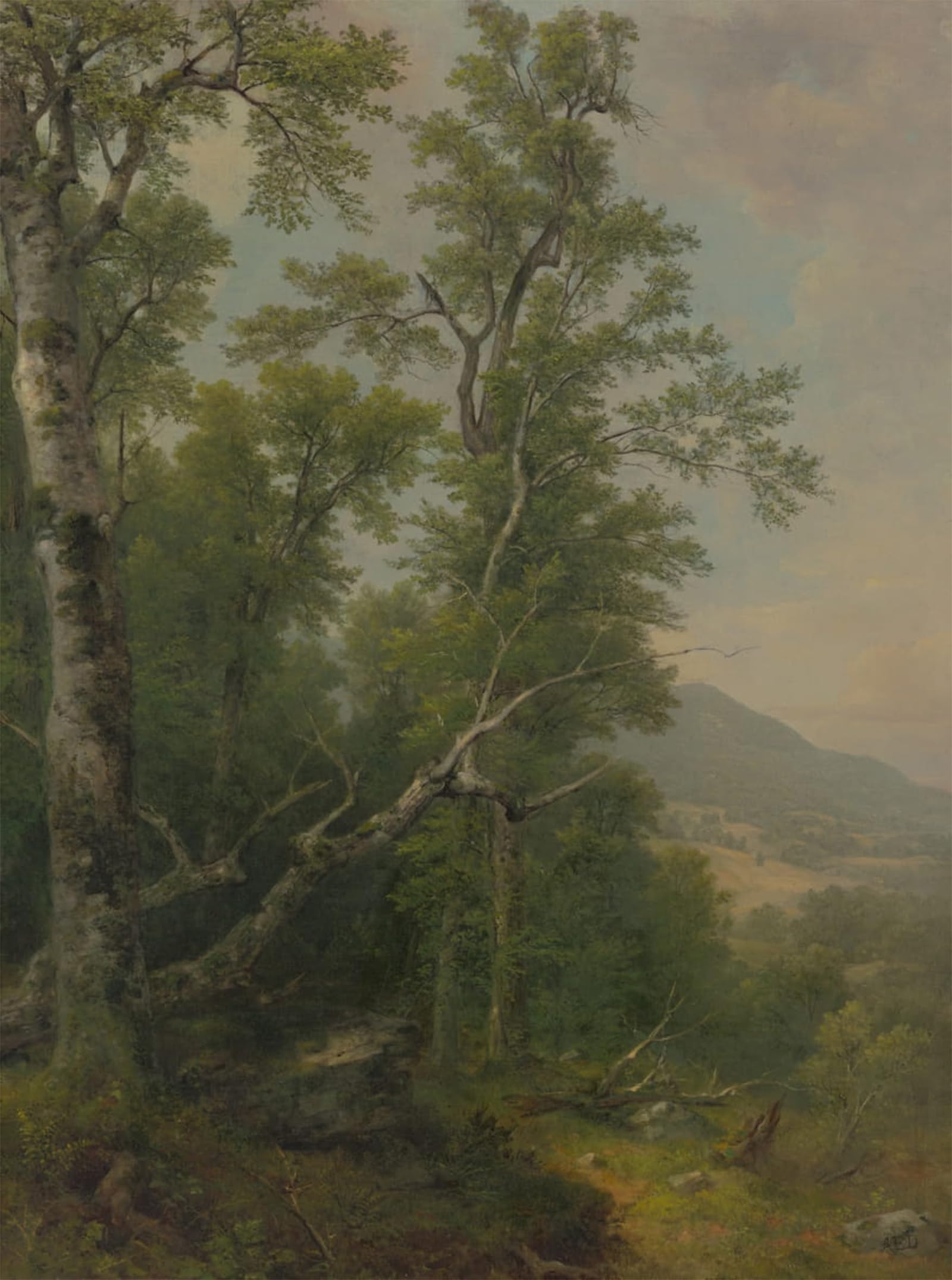 ARTXLXXBN Famous Prints Artwork Pictures Poster Painting Art Study of Trees by Asher Brown Durand Artwork Landscape Pictures for Home Decor 60x90cm