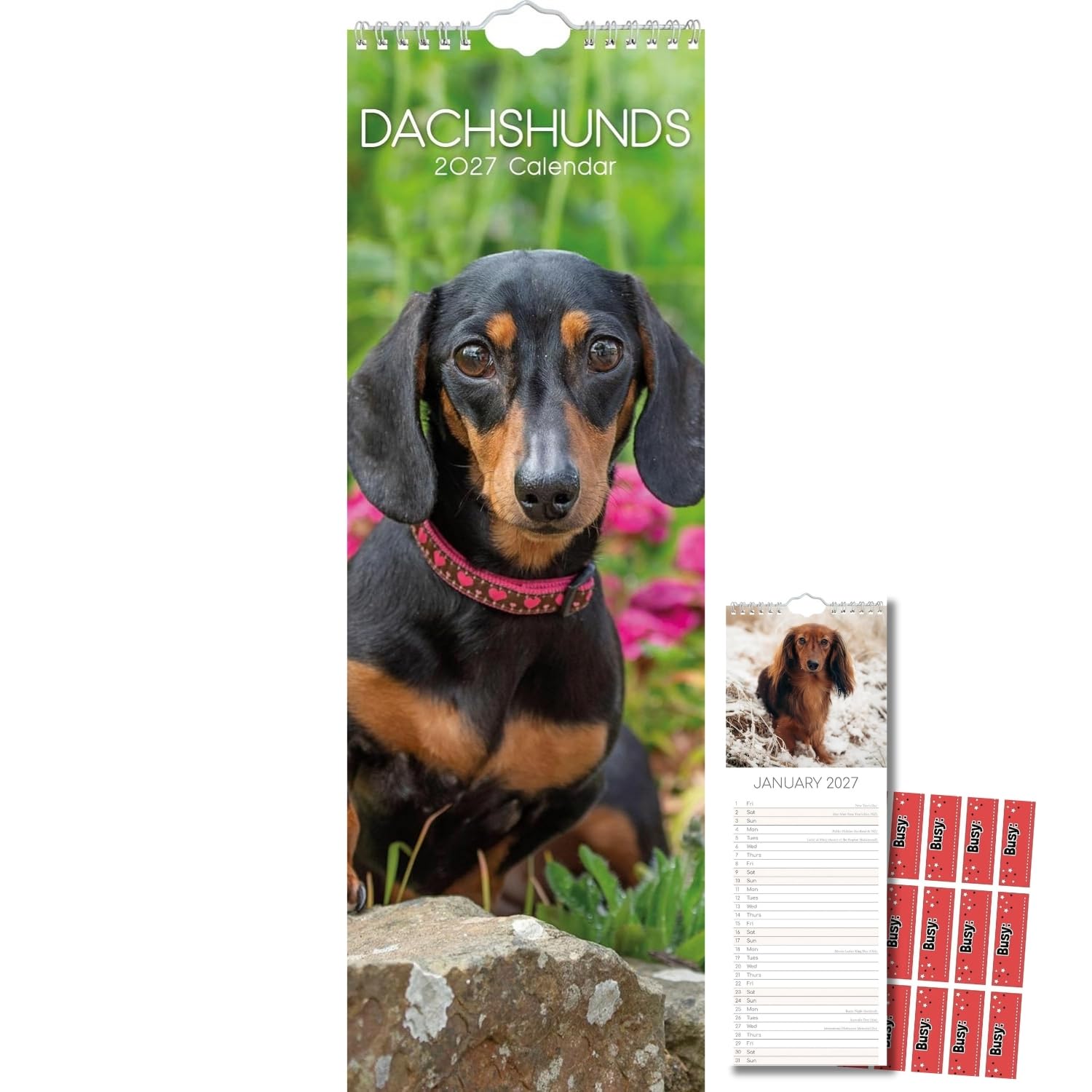 TGSC | Dachshunds 2027 Slimline Calendar with Planning Stickers, (Jan–Dec 2027) Planner with UK Holidays, For Home, Office, Kitchen Organisation, 42 x 15 cm