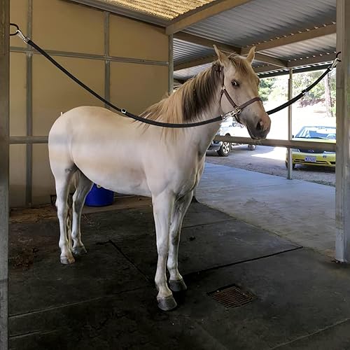 Miniatura 7 de MIYABALA Lazos cruzados para caballo, lazo de nailon resistente para remolque con fuerte presión de pánico y broche de toro, longitud ajustable de