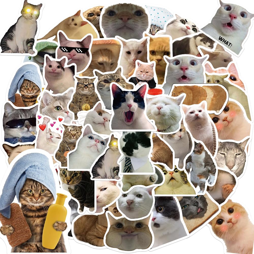 Cute and Funny Cat Meme Stickers for laptop Luggage Guitars Notebooks Water-resistant, 50 Non-repeating Patterns.…