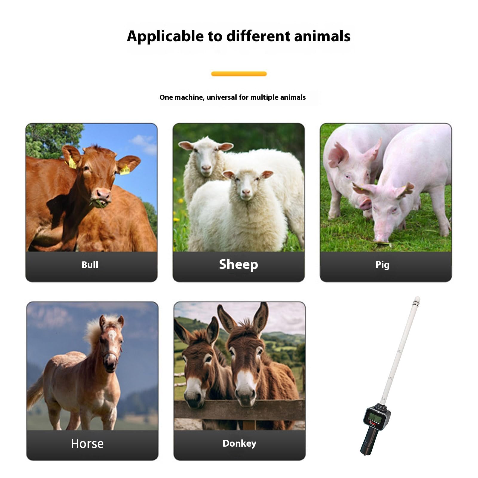 Dispositivo di test di fertilità del bestiame per bovini suini cavalli sonda delicata schermo LCD batteria rimovibile Ciclo di allevamento Monitoraggio LCD della fertilità del bestiame