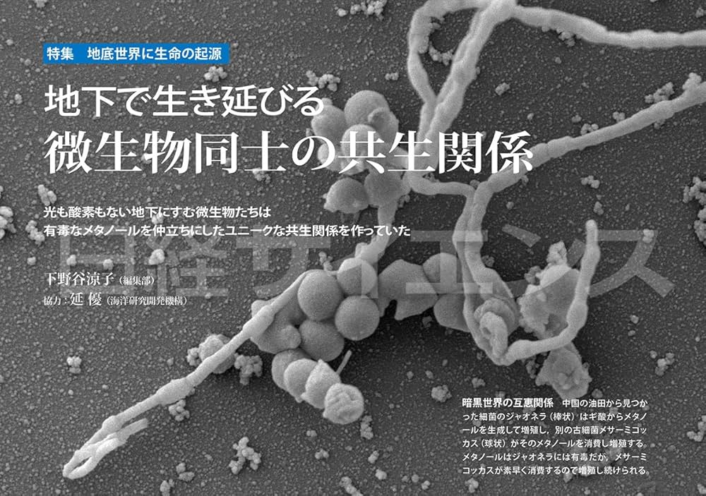 日経サイエンス 計39冊まとめ売り 日経サイエンス 計39冊まとめ売り - メルカリ