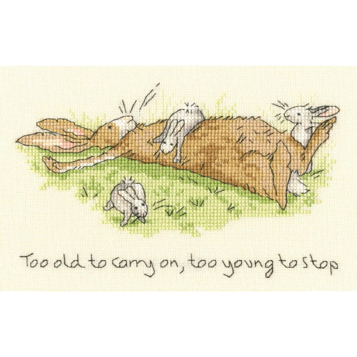Bothy Threads Multifarbig Cross Stitch Kit - Too Young To Stop