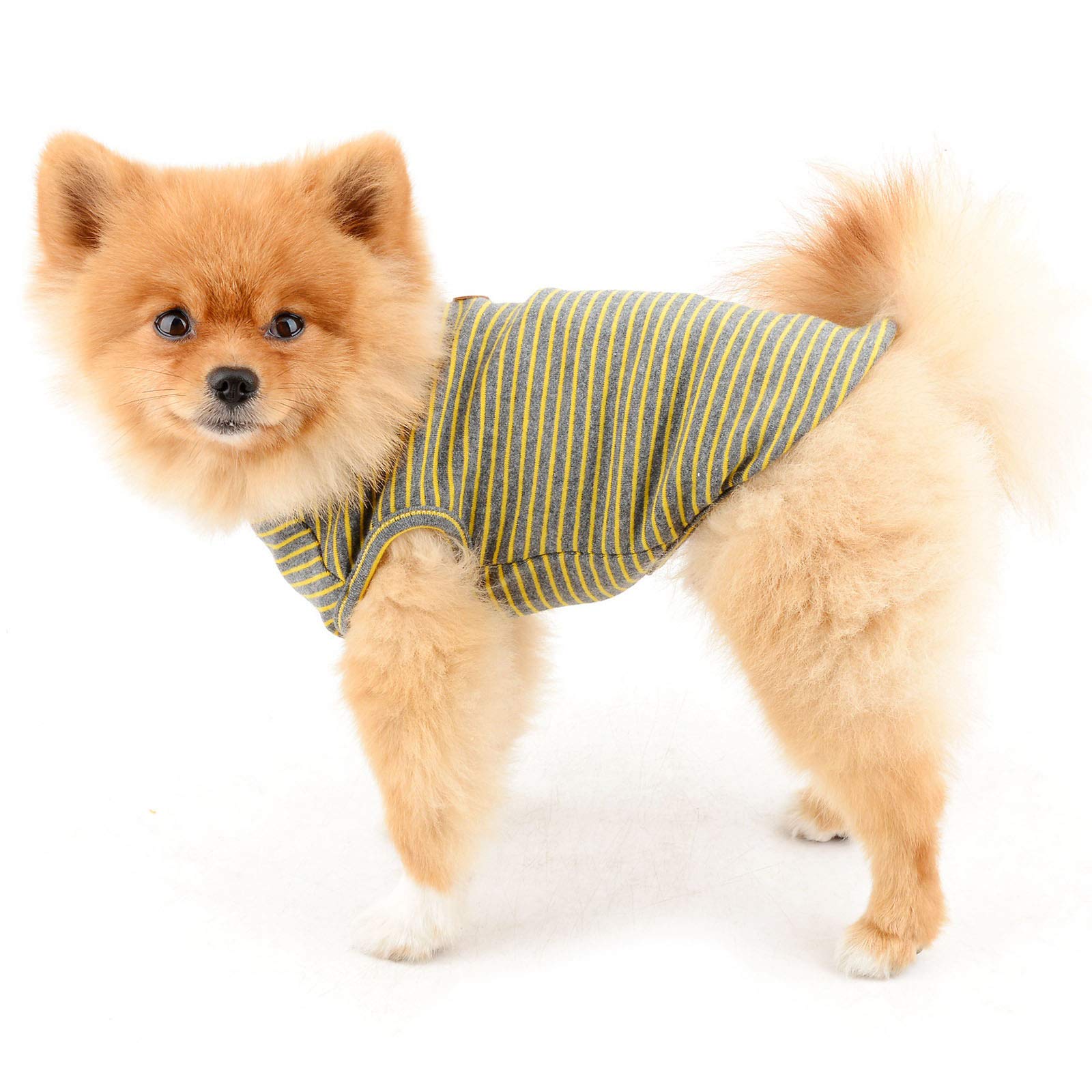 PAIDEFUL Chemise britannique pour petit chien rayée, gilet pour chat, T-shirt en coton doux pour garçon, vêtement pour animal de compagnie, Tee d’été pour chiot, Chihuahua, Yorkie, Débardeur