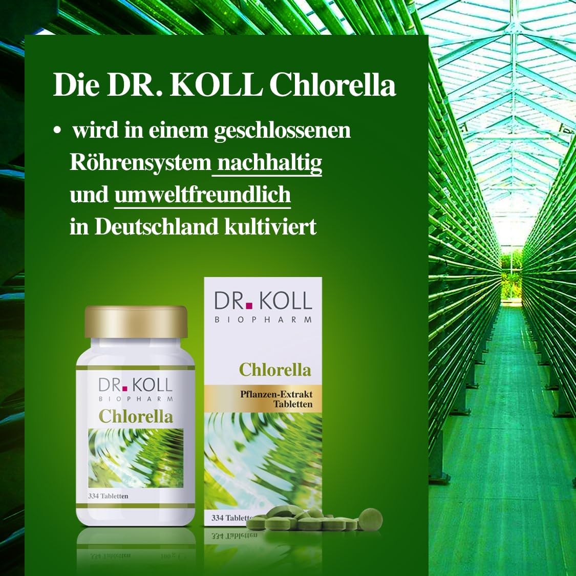 Dr. Koll Bio Chlorella Tabletten – Natürliches Nahrungsergänzungsmittel 100% Chlorella vulgaris | Hochdosiertes Vitamin B12 Supplement | 334 Tabletten Made in Germany