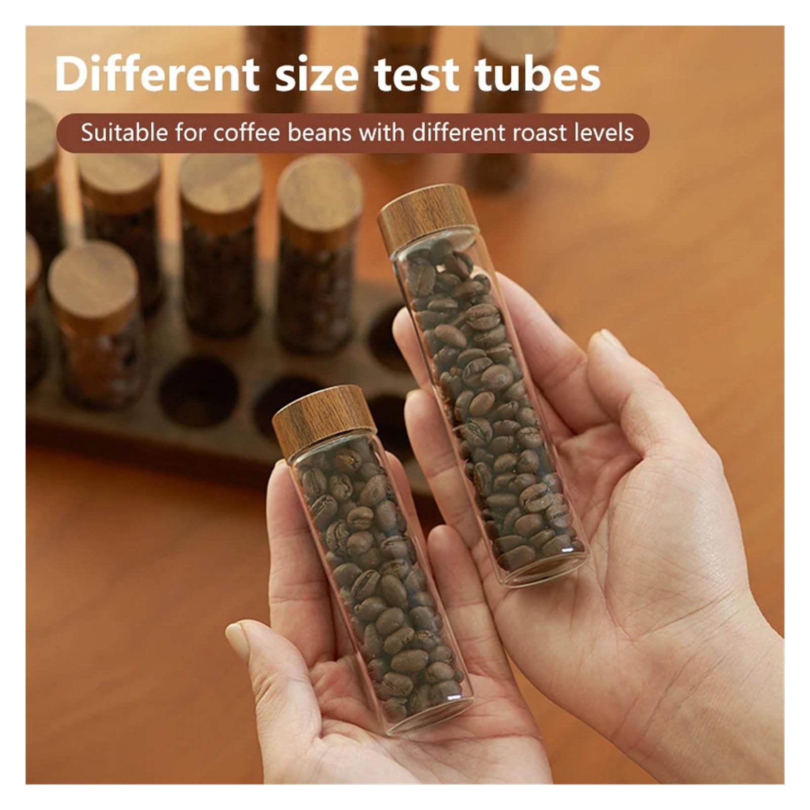 Kaffeebohnen-Aufbewahrungsbehälter, Tube-Display-Regal-Set