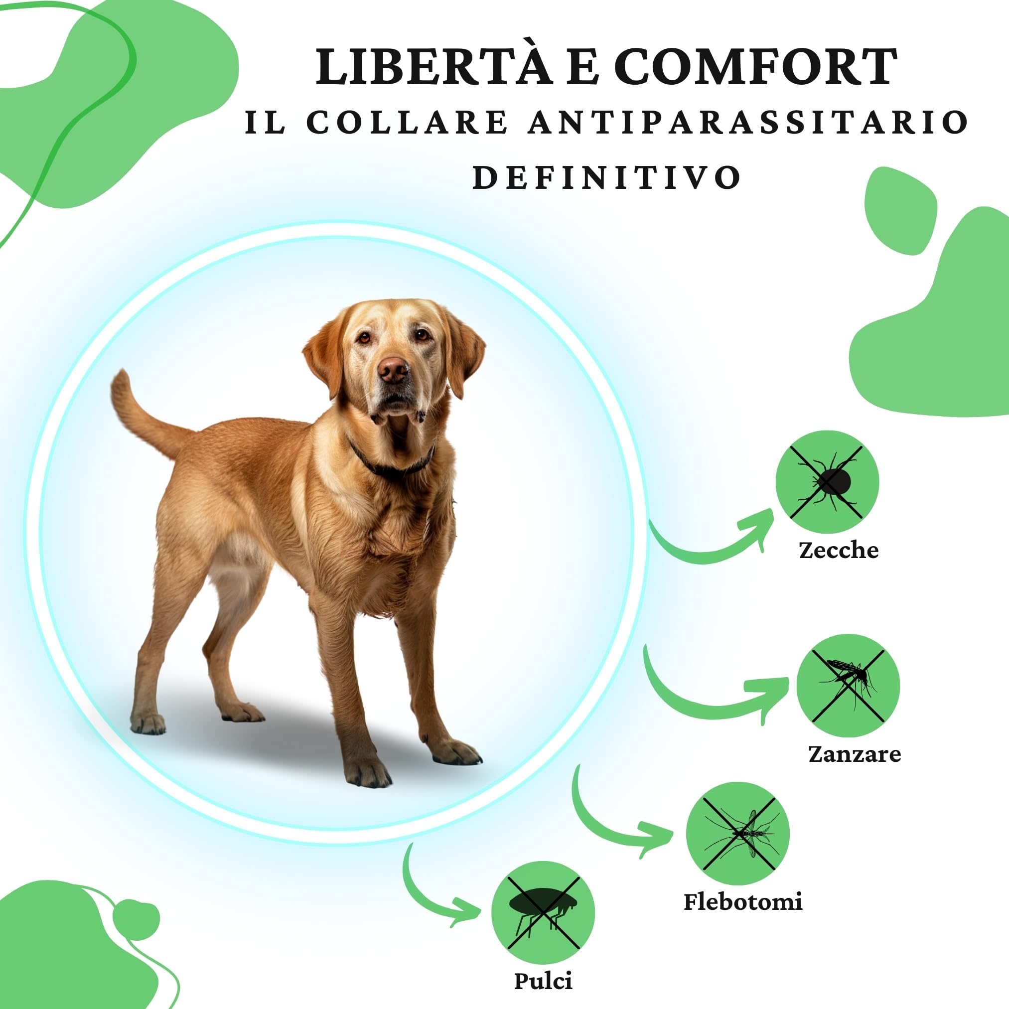 Super Bau Bau 2 Collare Antiparassitario per Cani di Alta Qualità - Antipulci per Cani, Antiparassitario Cani, Antizecche e Anti Zanzare, Impermeabile, Efficace 14 Mesi, 65cm per Cani oltre 8kg