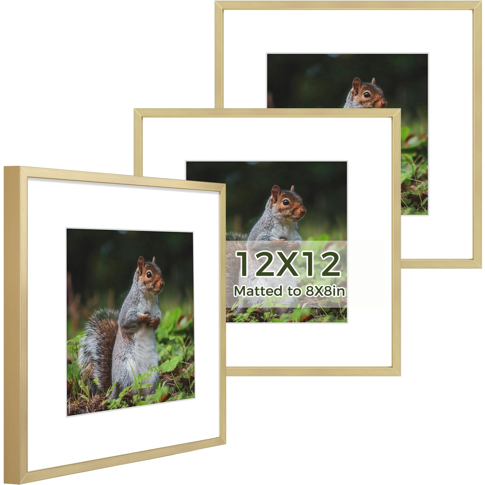 Amazon.com - Golden State Art 12x12 Picture Frame 3 Pack