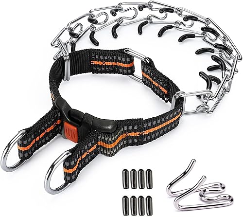 Collar de punta naranja para perros