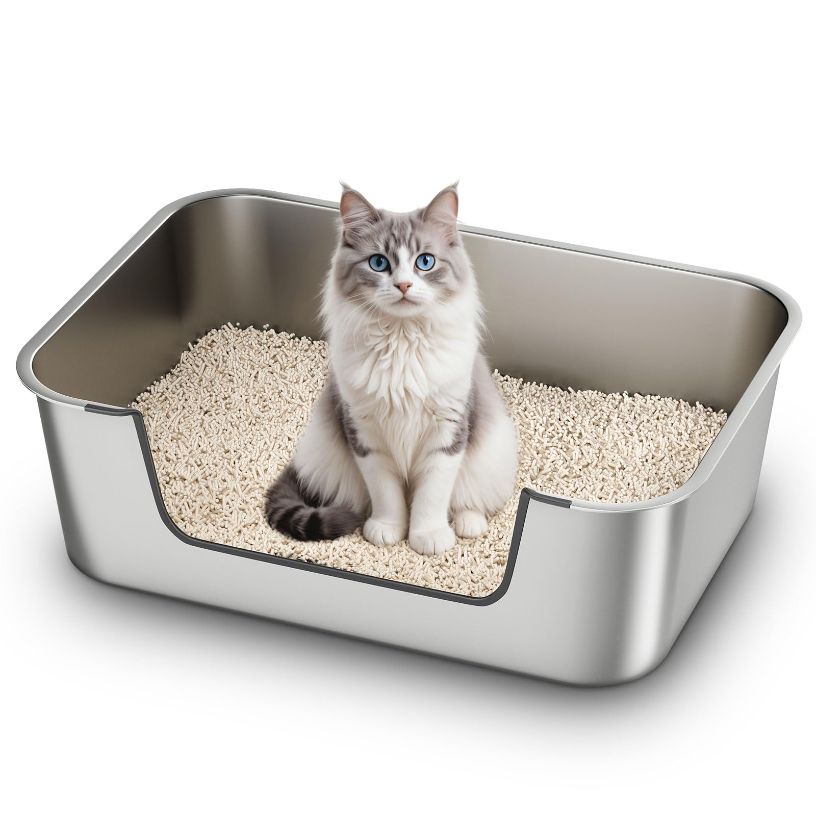 low entry litter box for senior cats easy access