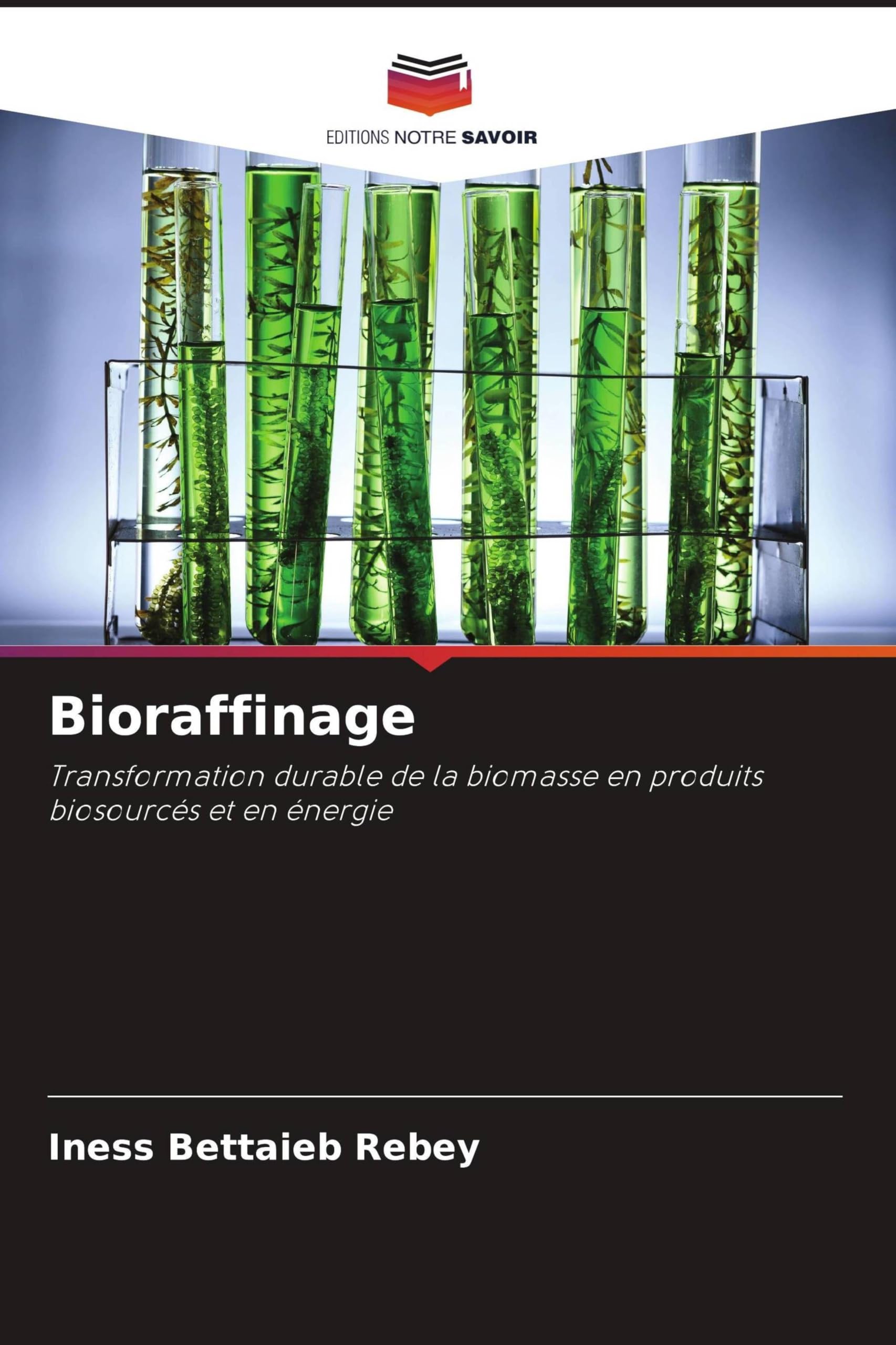 Bioraffinage: Transformation durable de la biomasse en produits biosourcés et en énergie