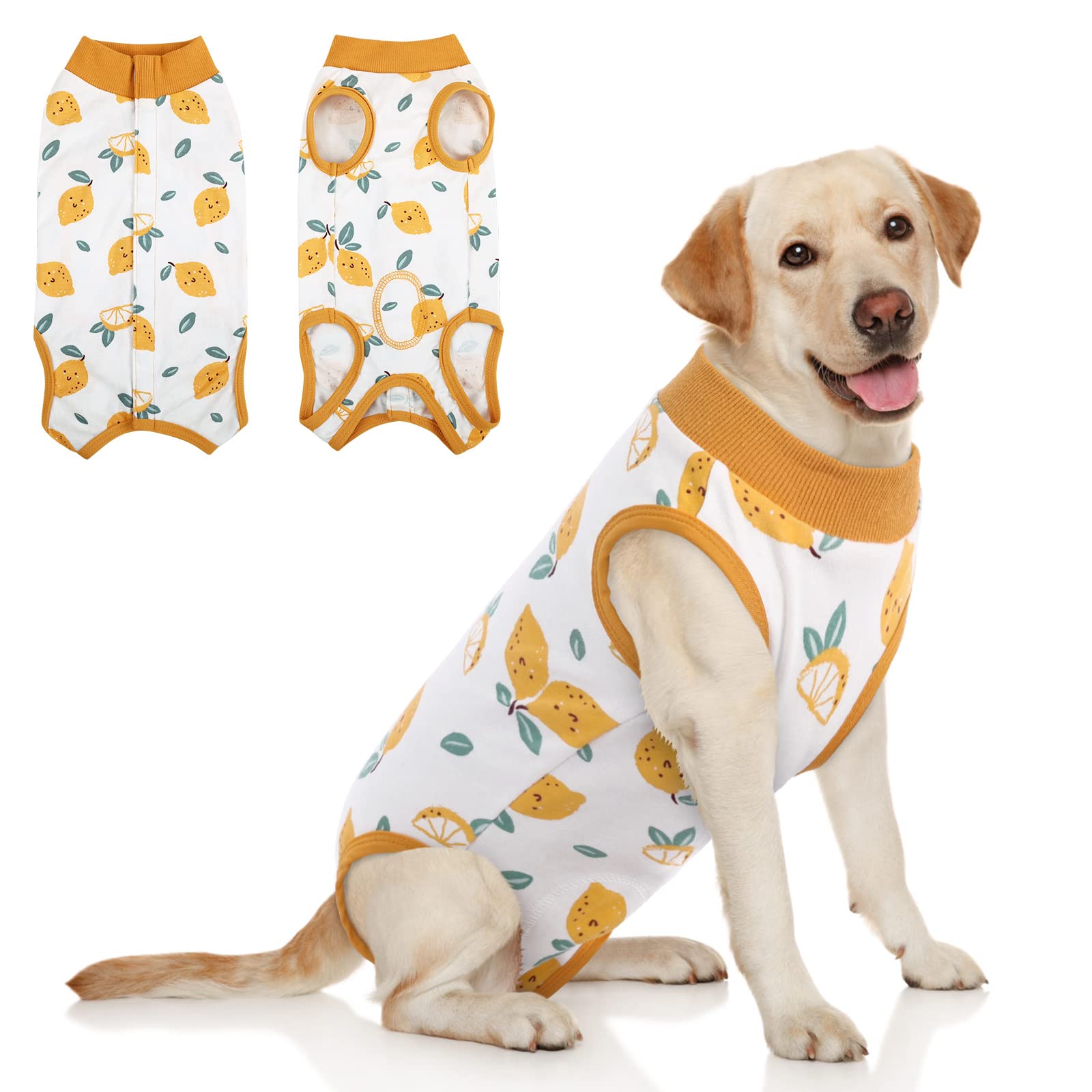 SAWMONG Recovery Suit for Dogs After Surgery Professional, Dog Spay Surgical Suit for Female Dogs, Dog Onesie Bodysuit for Surgery Male Substitute