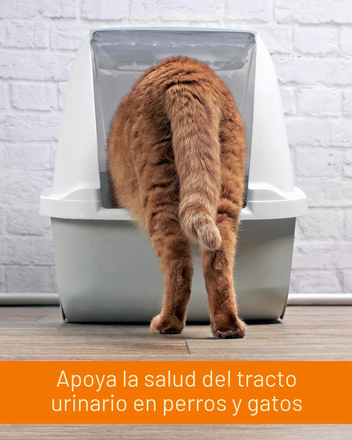 Vetoquinol URO-Pet Pasta | Paquete Triple | 3 x 120 g | Suplemento alimenticio para Perros y Gatos | para apoyar la Salud del tracto urinario | con el aminoácido DL-metionina