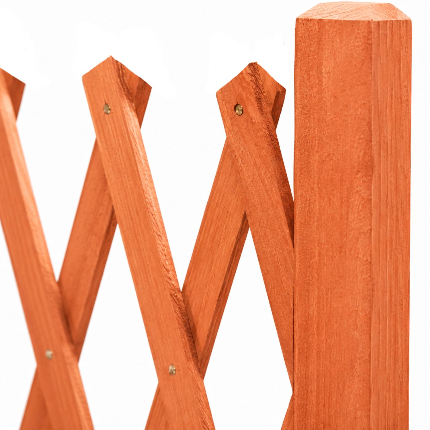 Separé Divisorio Esterno da Giardino Steccato Grigliato in Legno Traliccio Estensibile fino a 150 cm per Sostegno Piante Rampicanti Recinzione Decorativa Pergolato Autoportante Privacy