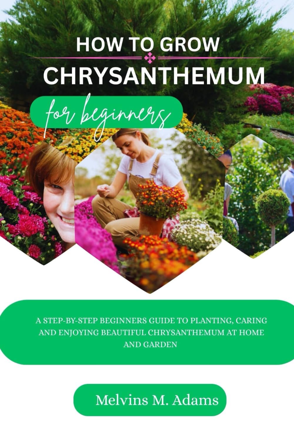 How to grow Chrysanthemum for beginners: A Step-by-Step Beginner’s Guide to Planting, Caring, and Enjoying Beautiful Chrysanthemums at Home and Garden