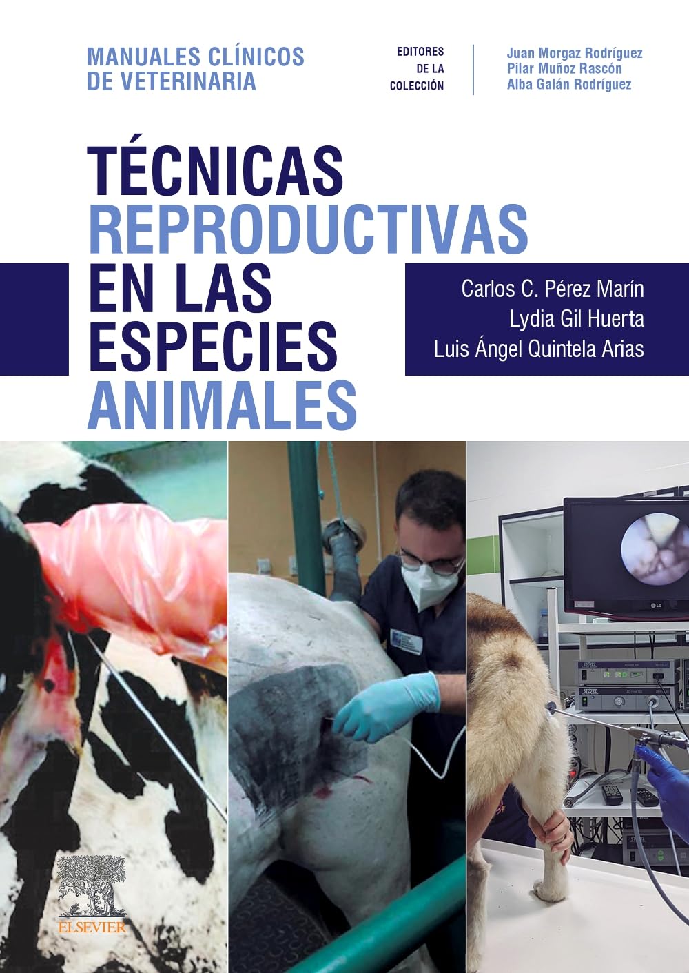 Técnicas reproductivas en las especies animales: Manuales clínicos de Veterinaria