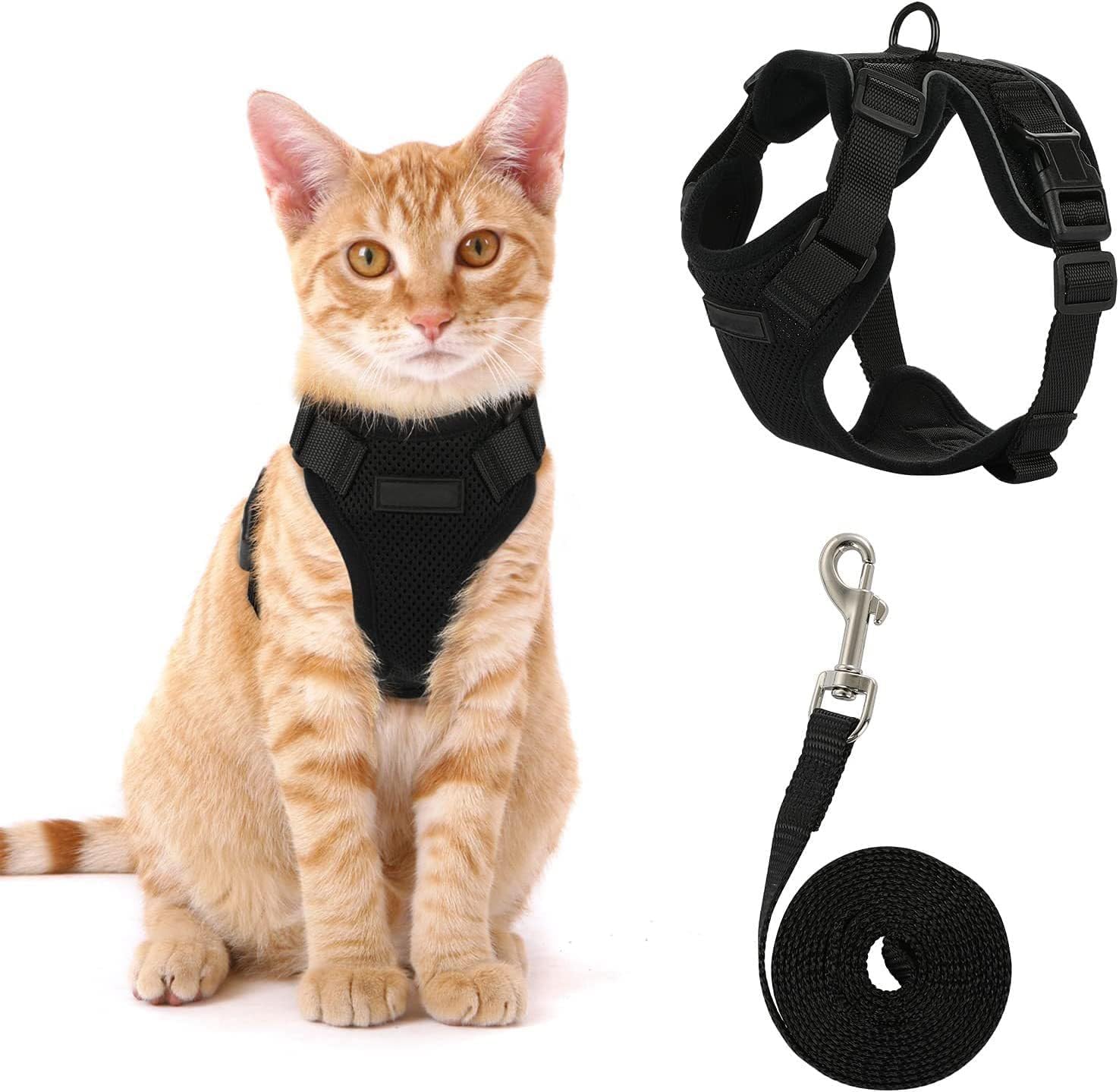 Voarge Harnais pour Chat Réglable avec Laisse de 150 cm - Sécurité pour Chats Adultes, Petits, Moyens et Grands, Chiots - Idéal pour la Marche et les V
