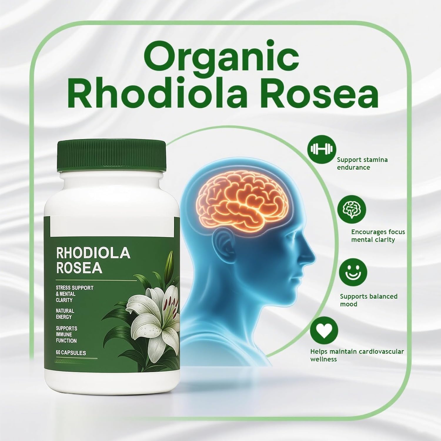Rhodiola Rosea - Erba adattogena - Supporto per cervello, stress e umore - Miscela naturale - Non OGM