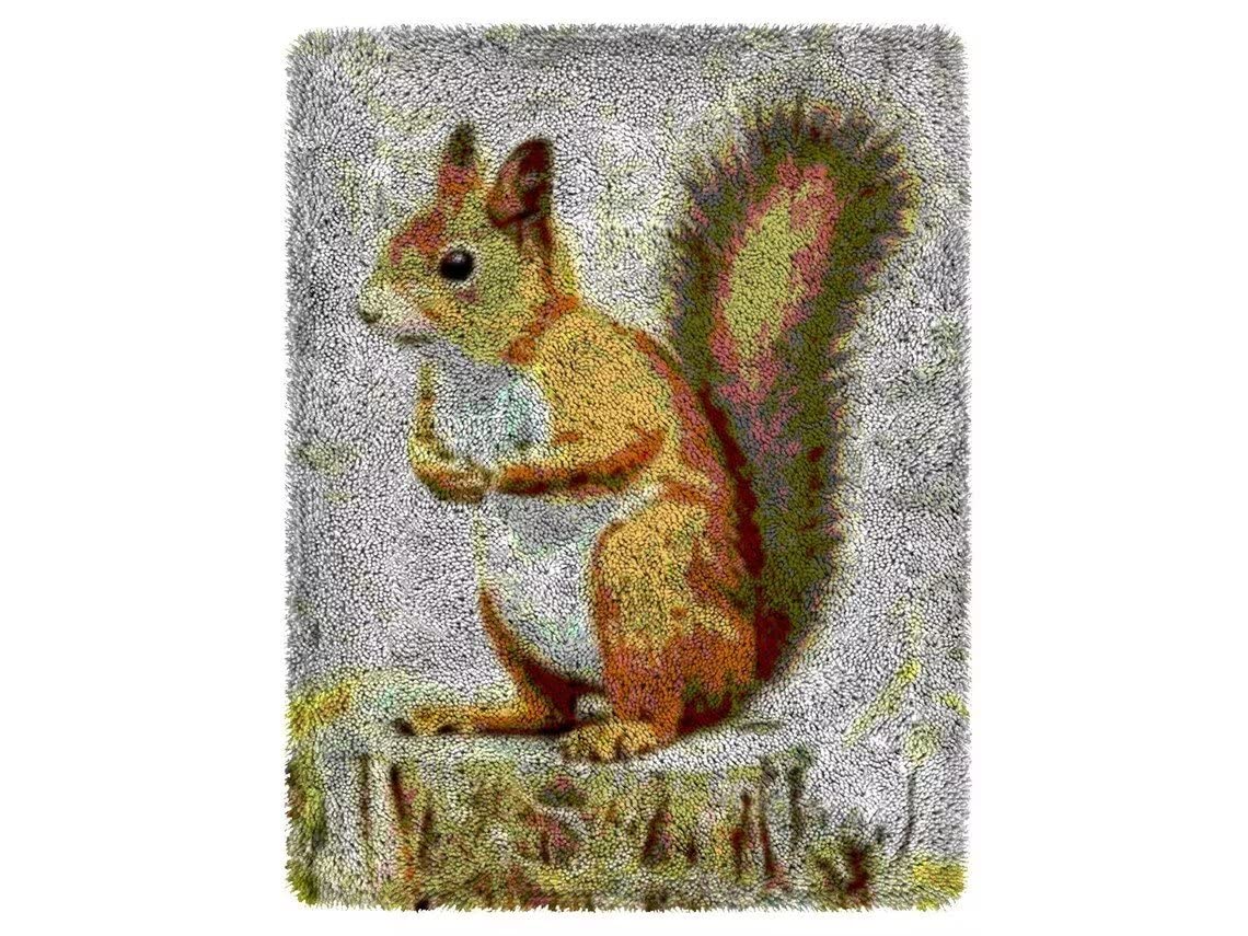ROCKY&CHAO Latch Hook Kit for Adults & Kids Complete DIY Rug Making Craft Kits with Yarn & Canvas and Crochet Needle, Adult Craft Kits for Women, Relaxing Home Art Project - Brown Squirrel 50x38cm