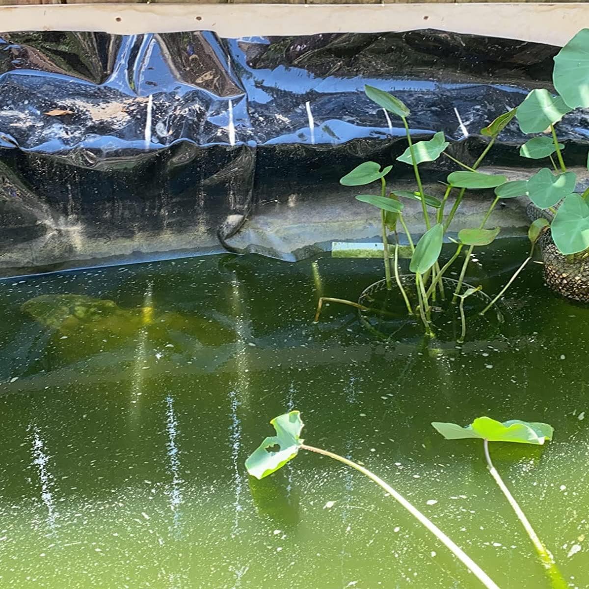 Telo protettivo per laghetto di alta qualità, spesso 0,2 mm, flessibile, in PVC nero, per Koi e giardini acquatici, disponibile in 4 x 6 m, 4,9 x 10,1 m, 7 x 10,1 m, 1 x 8 m, soluzione durevole per