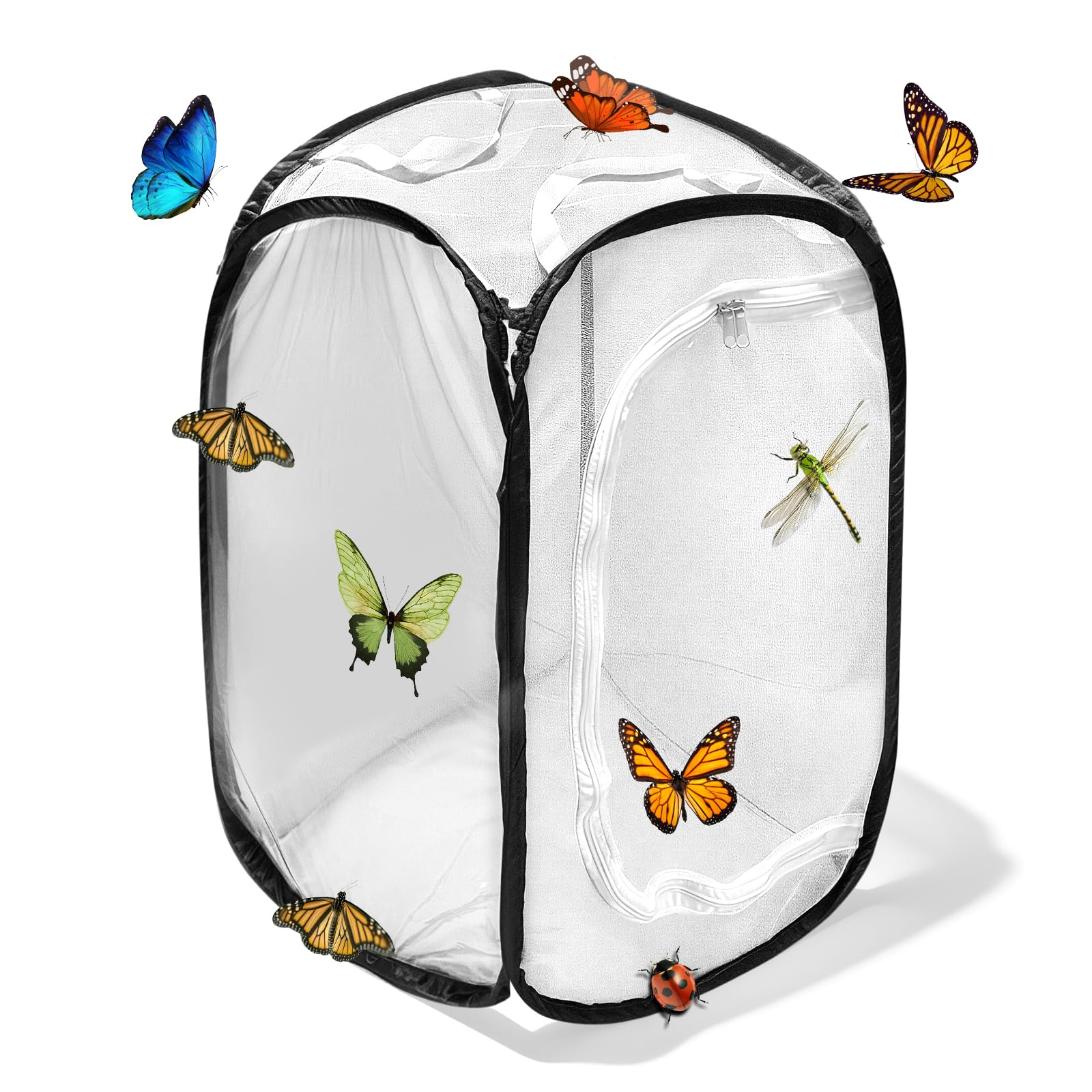 Gabbia per Insetti e Farfalle,Gabbia per Habitat Farfalla, 40×40×60 cm, Terrari Pieghevole in Rete per Piante, Insetti (Nero)