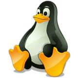 best mini linux server Ip Terminal Mini