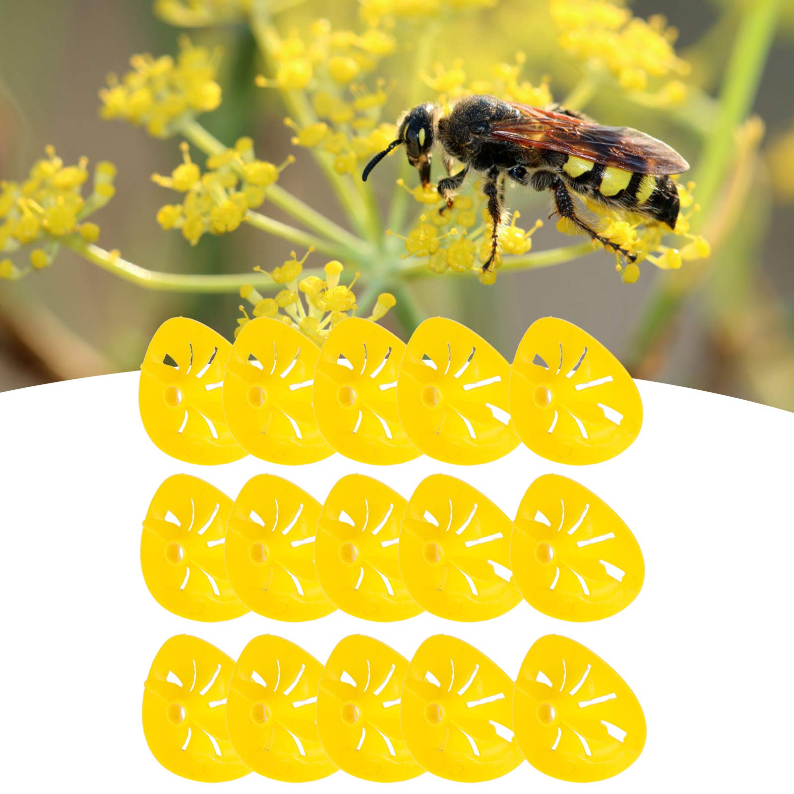 Trampa Para Avispas, Trampas Para Avispas Reutilizables Trampa Para Avispas Hornet 30 Piezas Trampas Para Abejas En Forma De Flor Reutilizable Colector De Abejas Embudo Herramientas De Accesorios De A