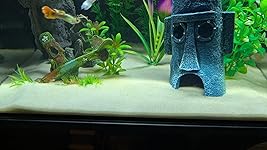 Review Image by Lady Glitter Sparkles