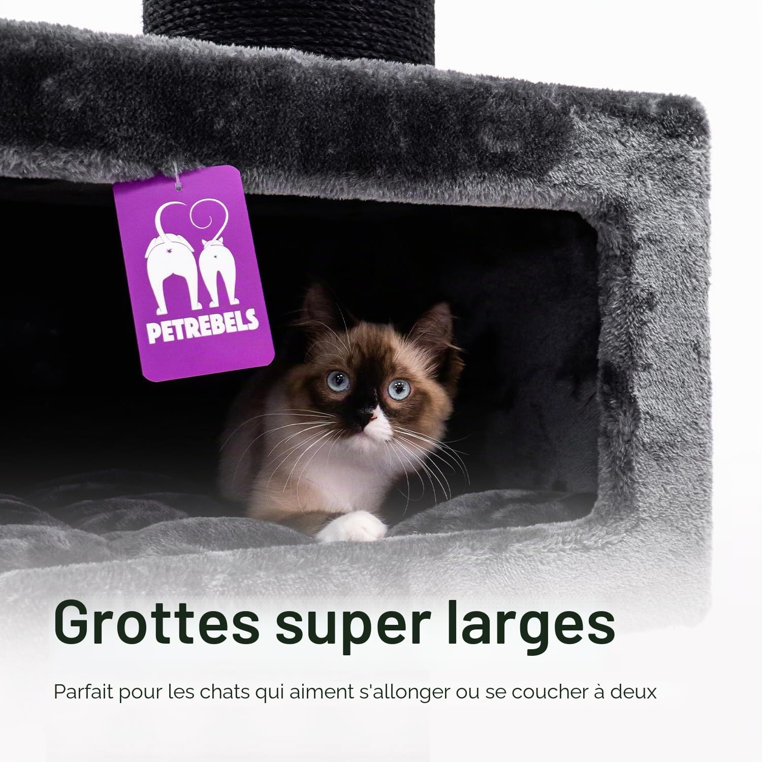 Petrebels Maine Coon Arbre à chat XXL de 2 mètres de haut, arbre à chat pour grands chats, extra stable pour plusieurs chats, 2 hamacs, 2 grottes pour chat, Sibérie 200, arbre d'escalade épais de 20