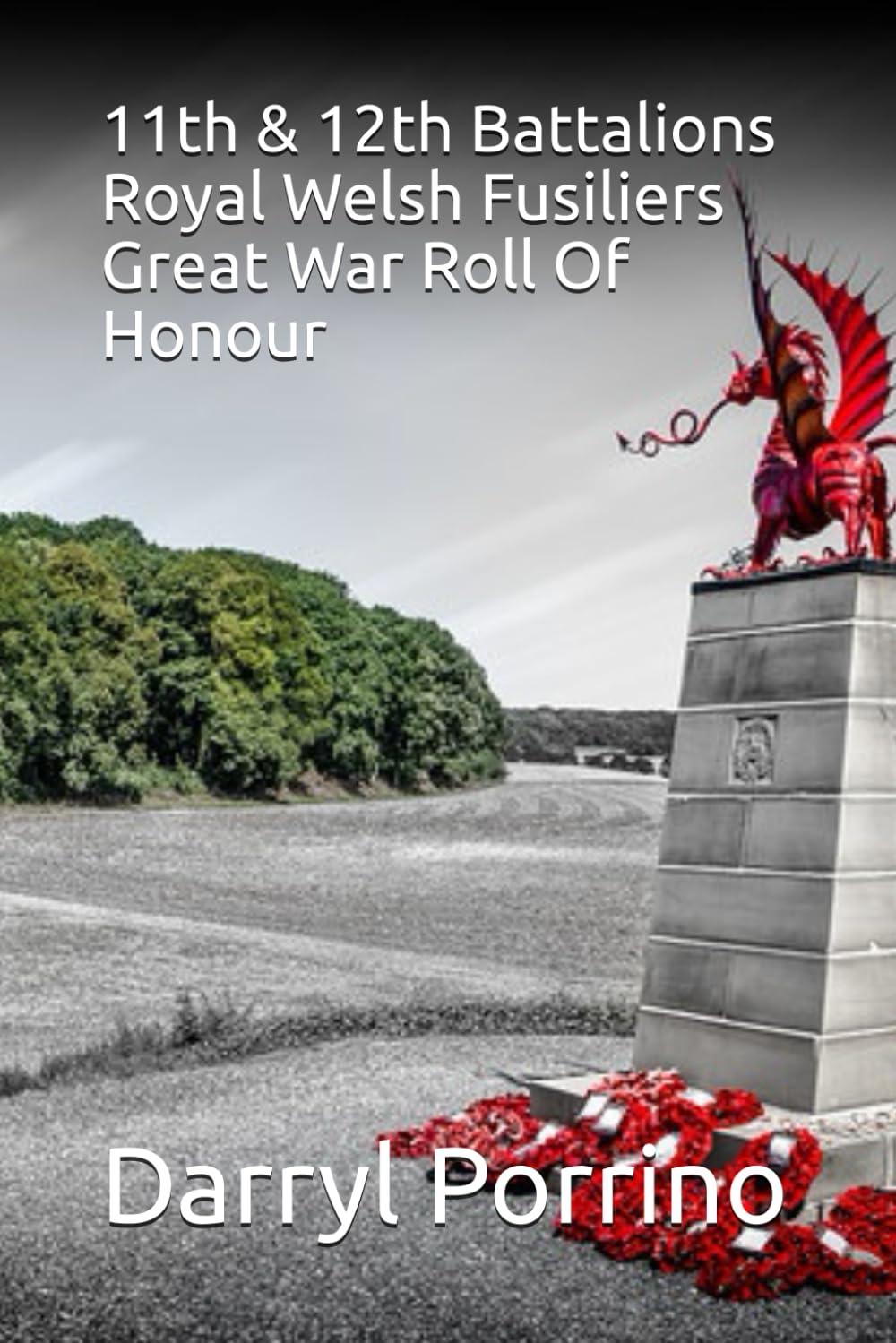 11th & 12th Battalions Royal Welsh Fusiliers Great War Roll Of Honour