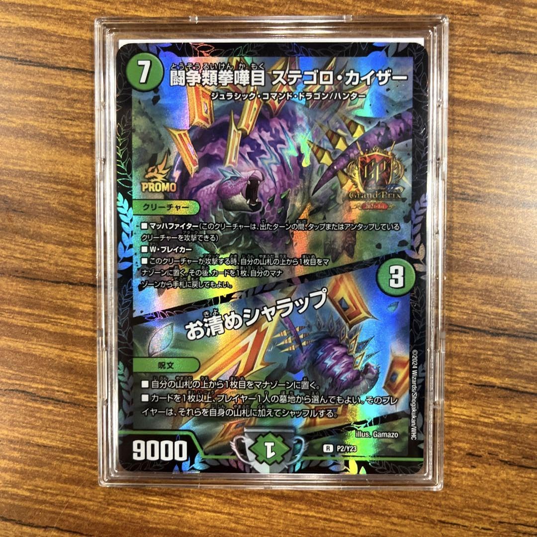 ステゴロカイザー／お清めシャラップGPプロモ