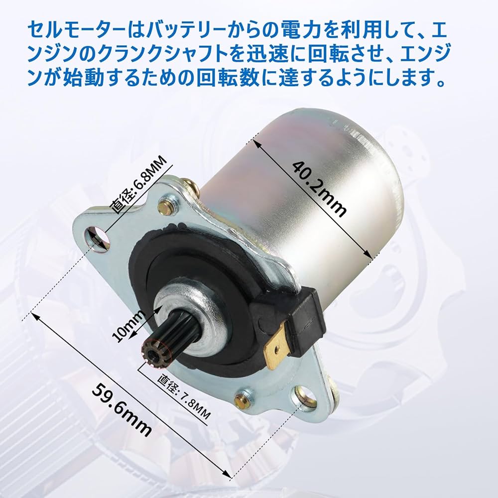 せるがおん 8枚セット sunriseco419_w0000bsm-1-1005