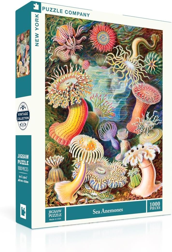 New York Puzzle Company - Vintage Images Sea Anemones - 1000 Piece Jigsaw Puzzle for Adults by Ernst Haeckel