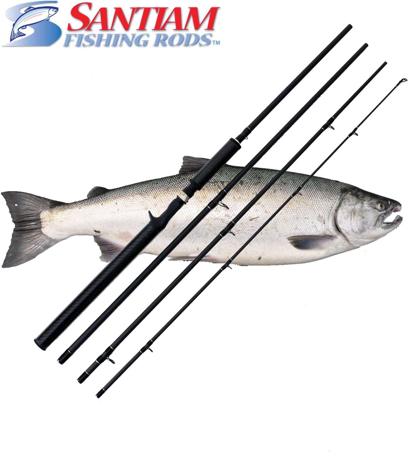 Santiam Fishing Rods 4 Piece 10'6'' 15-40lb Graphite Travel Casting/Trolling Rod w/Carbon Handle