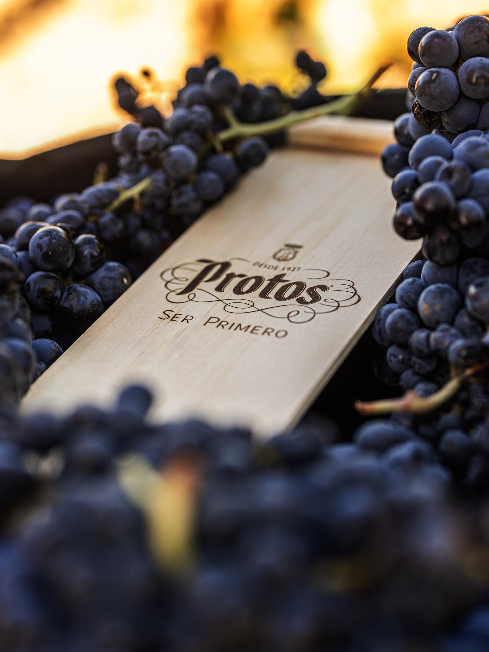 Protos Vino Tinto Reserva Denominación de Origen Ribera del Duero, Variedad Tempranillo, Botella individual con cánister de 750 ml, Estuche regalo