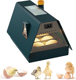 10-Egg Incubator, Temperature and Humidity Display, Automatic Egg Turning, Cold Light Egg Detection, Can Incubate Chicken, Duck, Goose and Other Poultry Eggs, For Farms and Laboratories
