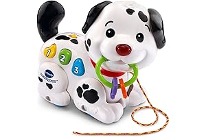 VTech Pull Along Musical Learning Puppy Pal