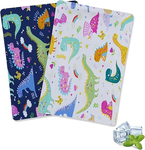 Cerbonny Paquetes de hielo para loncheras, bolsas de hielo para lonchera, paquete de hielo para lonchera, bolsas de hielo para enfriador, paquetes