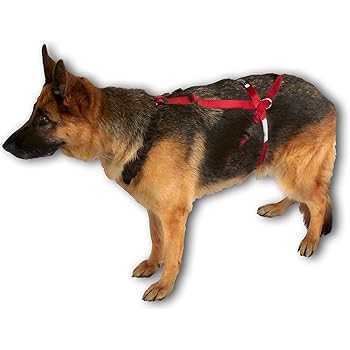 ultra paws one adjustable pulling dog harness