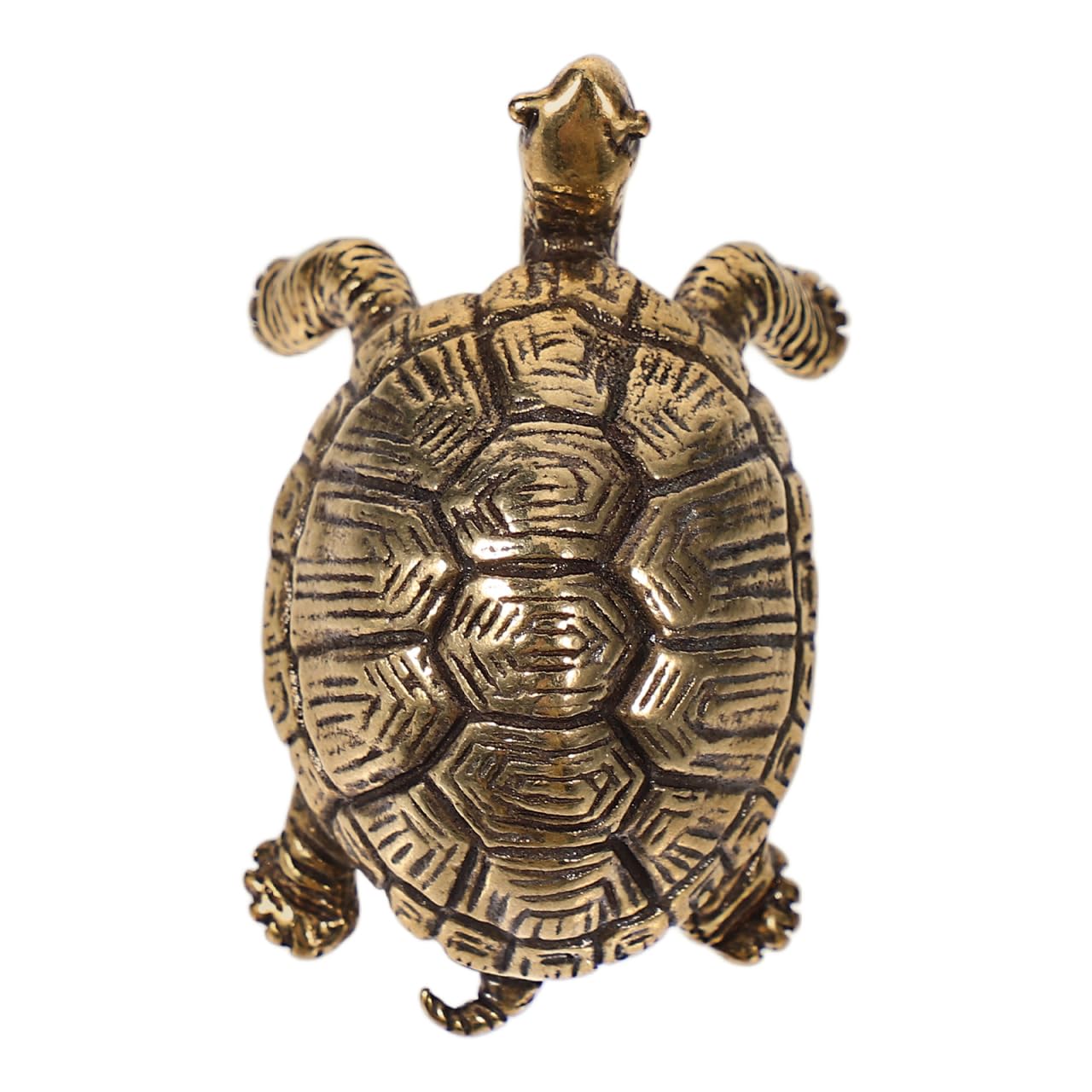 Boutons de placard en laiton motif tortue vintage Cabilock