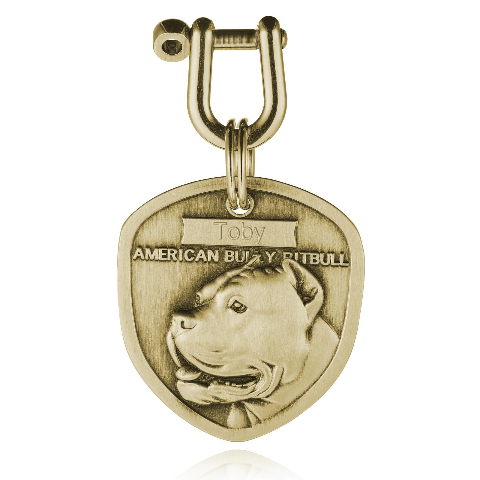 INBLUE Personalizada Grabado Nombre del Perro Etiquetas para Mascotas Anti-Pérdida Perro ID/Nombre Etiqueta de Latón Grabado Perro Etiqueta Regalo para Amante de Mascotas - American Bully Pitbull