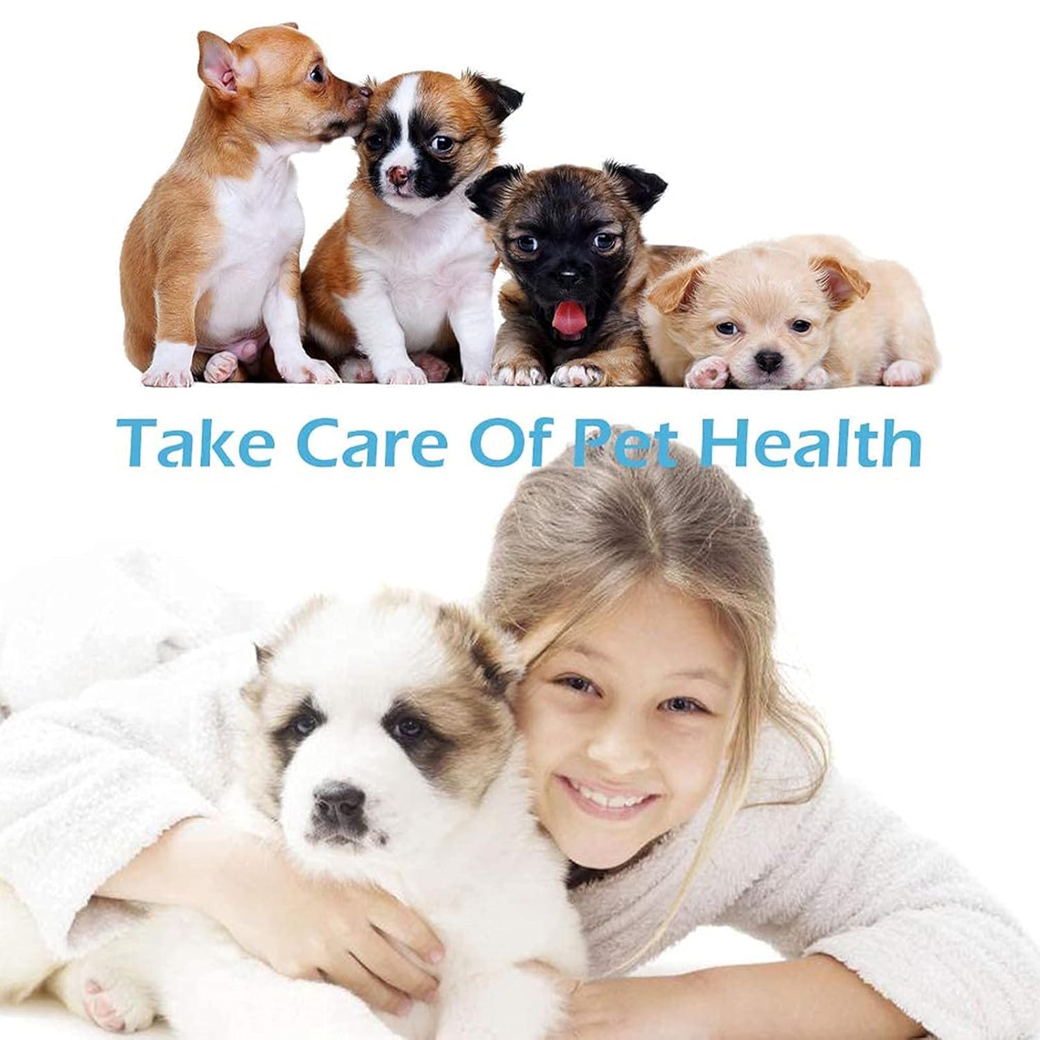 interactive dog ball by furryfido