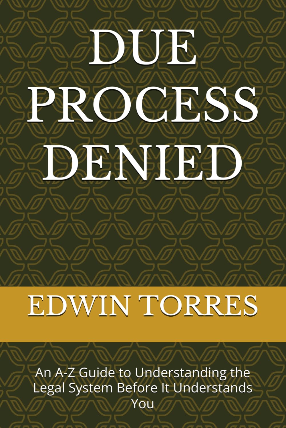 DUE PROCESS DENIED: An A-Z Guide to Understanding the Legal System Before It Understands You