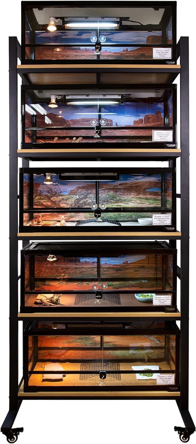 Carolina Custom Cages, 30Lx12Wx12H Medium-Plus Terrarium; Easy Assembly