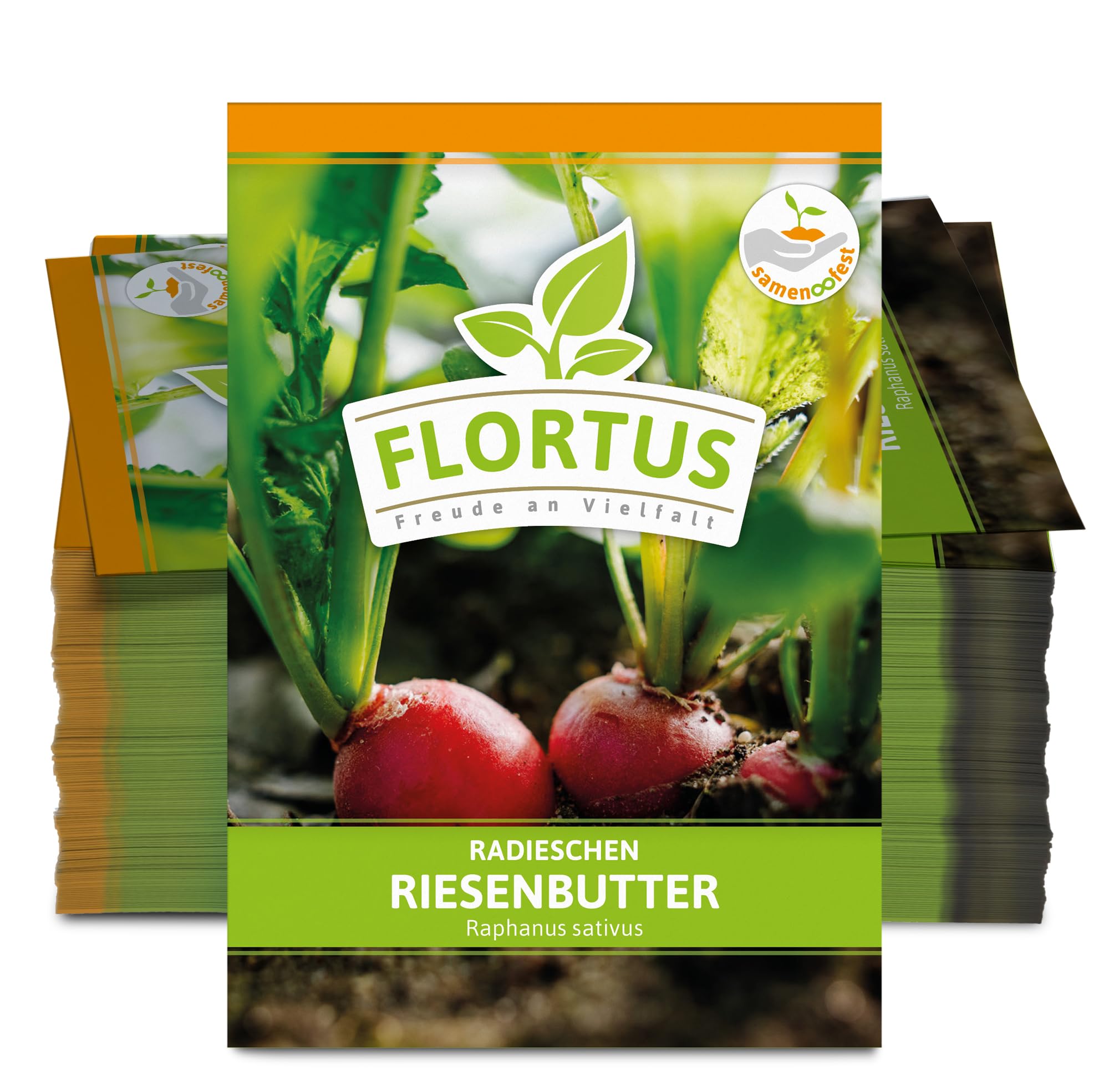 FLORTUS 2000-0493-100x Radieschen Riesenbutter (100 Stück) (Radieschensamen)