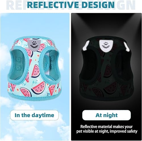 Miniatura 112 de KOOLTAIL Juego de arnés y correa para perros pequeños y medianos, arnés de malla suave sin tirones para perro, cómodo chaleco acolchado