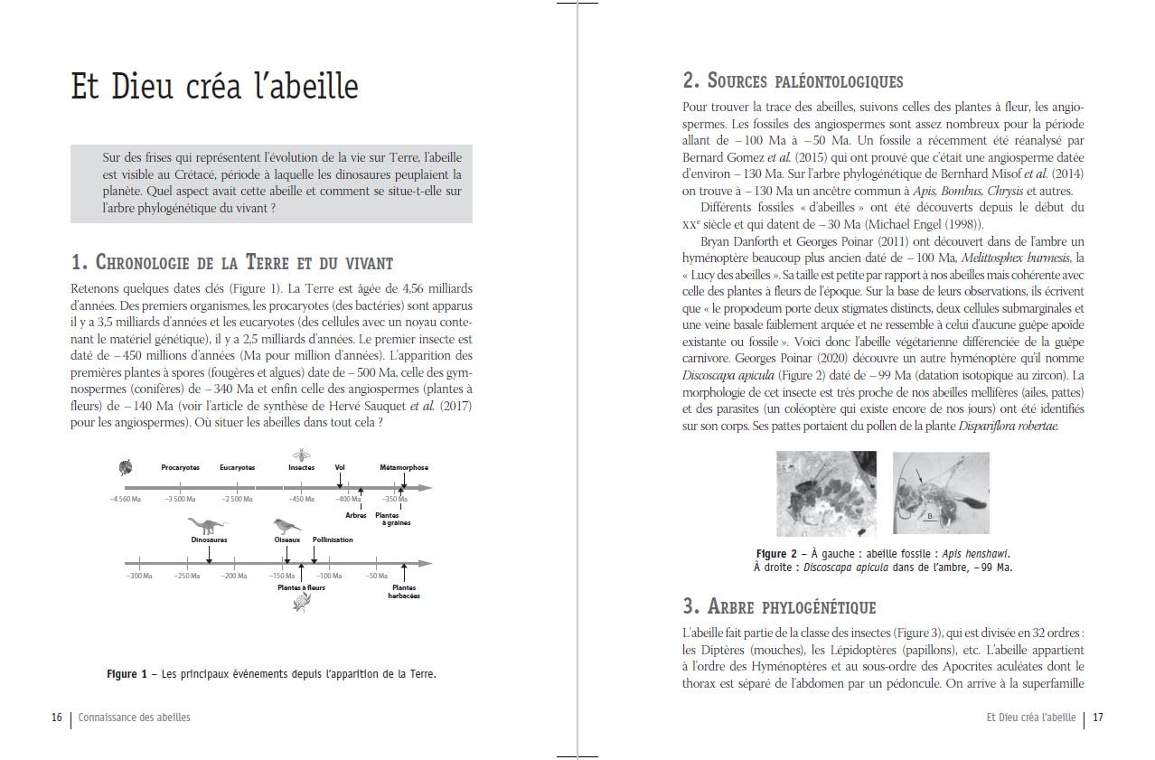 Connaissance des abeilles: Pour une apiculture rationnelle - Biologie, Reproduction, Comportement, Ruches, Produits de la ruche