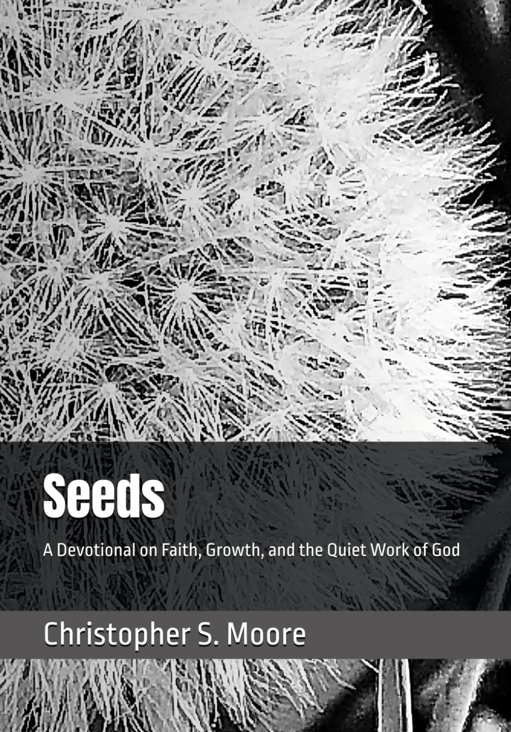 Seeds: A Devotional on Faith, Growth, and the Quiet Work of God
