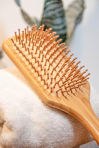 Miniatura 7 de Juego de 2 cepillos de madera para el cabello de Areumdan. Cerdas redondas de bambú ecológico para desenredar y masajear el cuero cabelludo cepillo